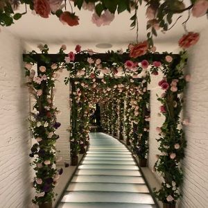 Meet your Posher, Jacqueline